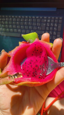 {"eId":"454476473376580","CameraPosition":1}