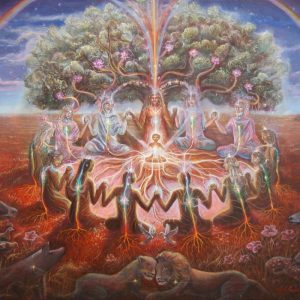 Visión ceremonia de Ayahuasa